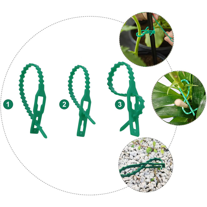 10-100pc Adjustable Plant Ties - Bonsai Garden Ideas avis et prix