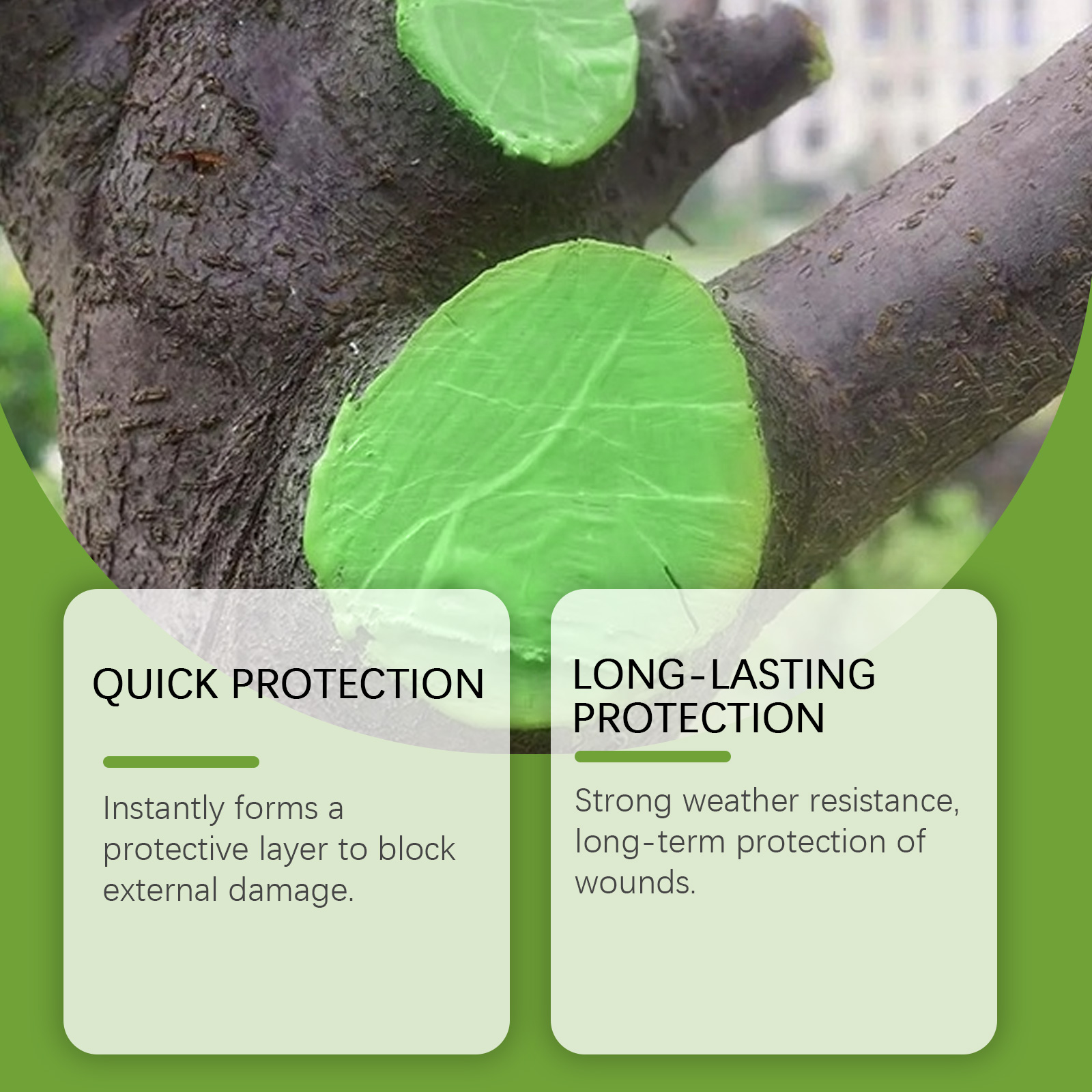 Tree Wound Healing Agent Pruni - Bonsai Garden Tree avis et prix